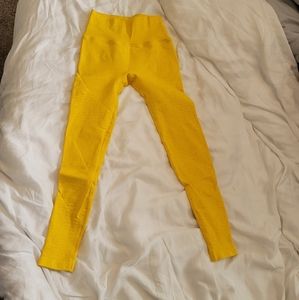 Alphalete R6 Revivals